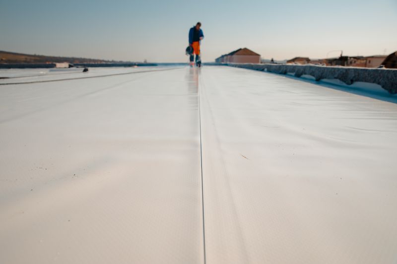 Rubber Roof Services