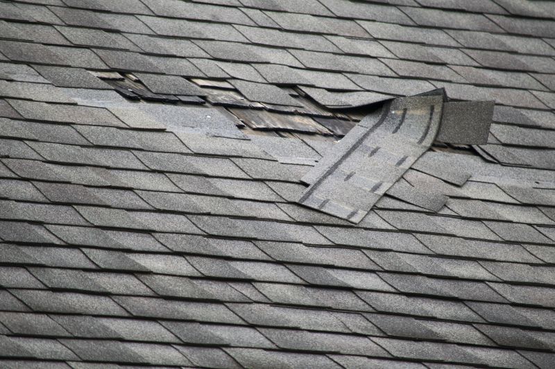Existing Roof Condition